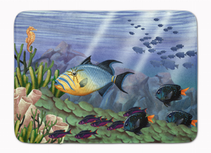 Undersea Fantasy Mat - 638508648525