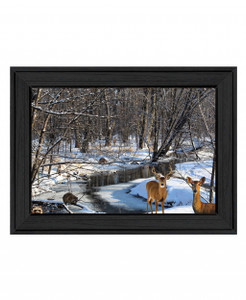 Great Outdoors Nature 1 Black Framed Print Wall Art - 606114060550