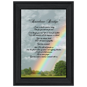 Rainbow Bridge 3 Black Framed Print Wall Art - 606114159407