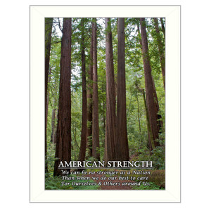 American Strength 2 White Framed Print Wall Art - 606114073864
