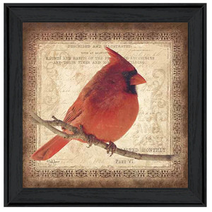 Male Cardinal 2 Black Framed Print Wall Art - 606114048640