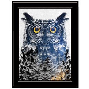 Night Owl 3 Black Framed Print Wall Art - 606114039938