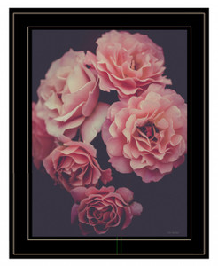 Dreamy Rose 2 Black Framed Print Wall Art - 606114056348
