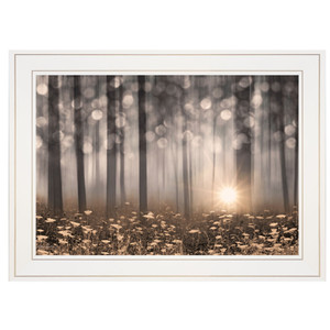 Enchanted Morning 1 White Framed Print Wall Art - 606114039303