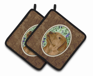 Chocolate Labrador Pair of Pot Holders - 638508364142