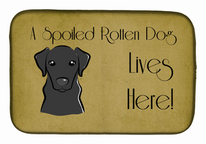 Spoiled Dog Lives Here Dish Drying Mat - 652259245864