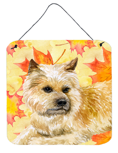 Cairn Terrier Wall or Door Hanging Prints - 652259210350