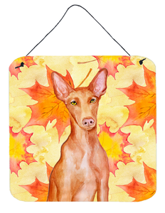 Pharaoh Hound Wall or Door Hanging Prints - 652259210602