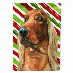 Candy Cane Holiday Christmas Dog Flag Garden Size - 615872864072