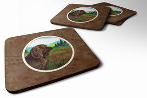 Dog Breed Spaniel Group Foam Coaster - 638508340689