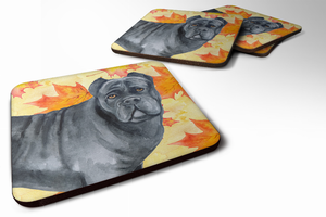Fall Leaves with Dog Foam Coaster Set of 4 - 652259213870