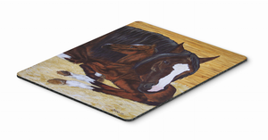 Animal/Birds Themed Mouse Pad, Hot Pad or Trivet - 638508169488