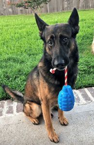 USA-K9 Grenade Durable Rubber Chew Toy, Treat Dispenser, Reward Toy, Tug Toy, and Retrieving Toy - 810216022990