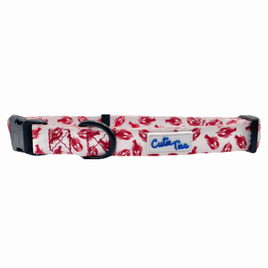 Cutie Ties Fun Design Dog Collar - 697273994718