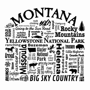 US State Destination Unisex T-shirt - Where Life Takes You (M-N) - 018391113532