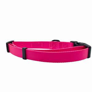 Cutie Ties Fun Design Dog Collar - 697560065596