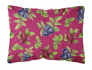 Fruits Art Canvas Decorative Pillow - 638508656810