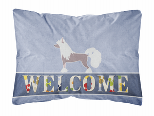 Welcome Dog Art Canvas Fabric Decorative Pillow - 638508702395