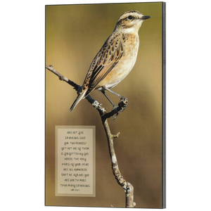 Many Sparrows Luke 12:6-7 Wall Plaque - 603799536721