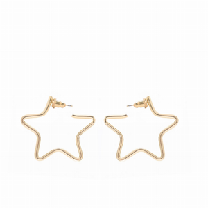 Full Star Earrings - 000656326456