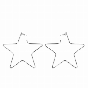 Full Star Earrings - 000656326453