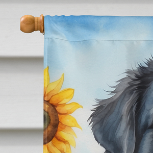 Newfoundland in Sunflowers House Flag - 194030963128
