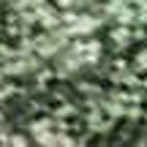 9' X 12' Fern Green And Beige Abstract Washable Indoor Outdoor Area Rug - 880016743630