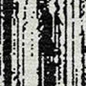 3' X 5' Black And Ivory Striped Washable Indoor Outdoor Area Rug