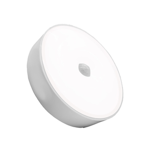 Motion Sensing LED Light