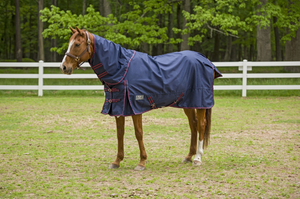 TuffRider 1200D Winter Comfy Detachable Neck Sheet