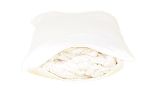 100% GOTS Organic Cotton Pillow w/zip