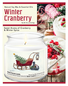 Courtside Market Santas sleigh Candle Glass Jar with Glass Lid