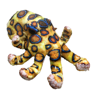 Small Blue Ring Octopus 6" Plush Stuffed Animal
