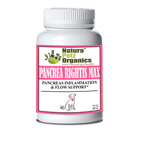 Pancrea Rightis Max Support* Capsules Pancreas Inflammation & Flow Support Dogs Cats*