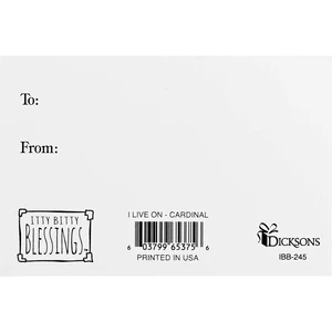 Itty Bitty Card Cardinal I Live On