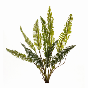 Fern Plant (Set of 6) 17.5"H Plastic