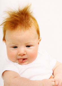 Bambini Preemie Short Sleeve Lap Tee - 3 Pack