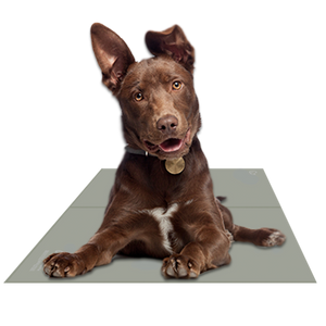 Chillz Gel Mat Large Sage Gray