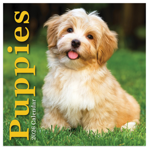 2026 Puppies Mini Calendar