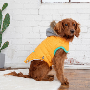 GF Pet  Winter Sailor Parka