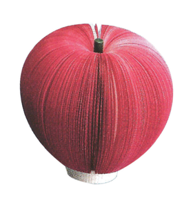 Big Red Apple-  3-Dimensional Notepads