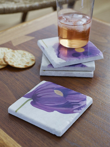 Coaster Set