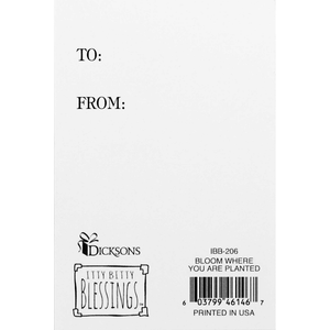 Itty Bitty Card Bloom Where You Are