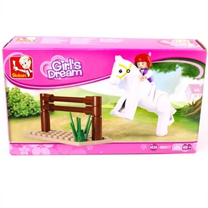 Girls Dream Equestrian Building Brick Kit (20 Pcs)