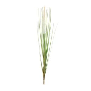 Foxtail Bush