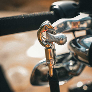 2053.17 - Biker Get Back Whips