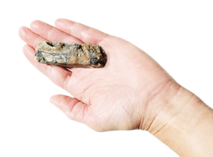 Plato Pet Treats Hundur's Crunch Jerky Fingers