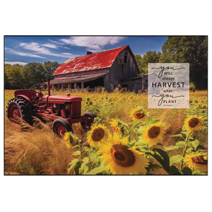 Wall Plaque You Will Always Harvest