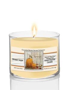 Courtside Market Pumpkin Patch I Soy Wax Candle in Glass Jar
