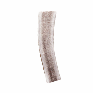 KONG Wild Antler Split
